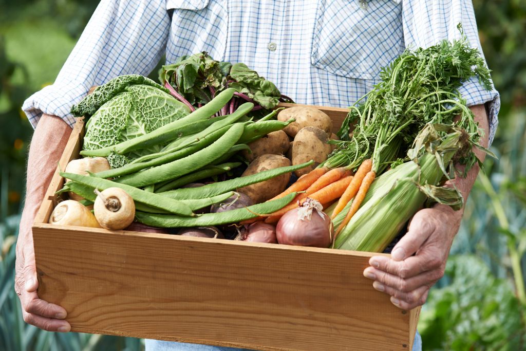 home grown vegetables