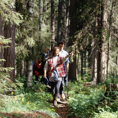 group walk through the forest