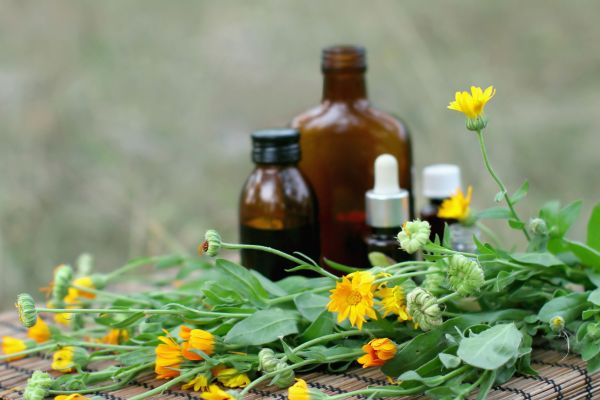 concept of calendula flower essential oil and tincture.