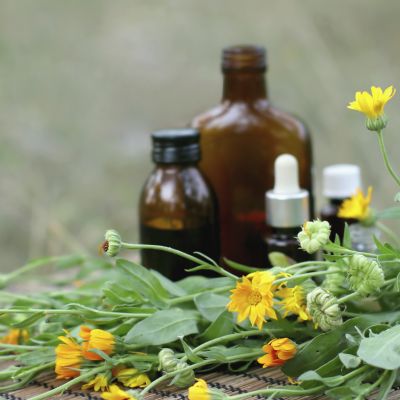 concept of calendula flower essential oil and tincture.
