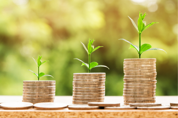 Financial Wellbeing Express