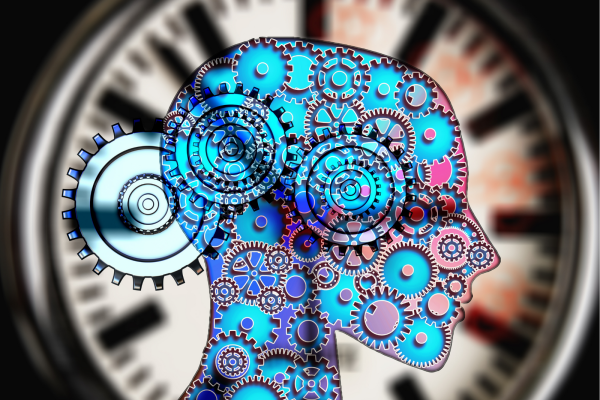Stress and resilience